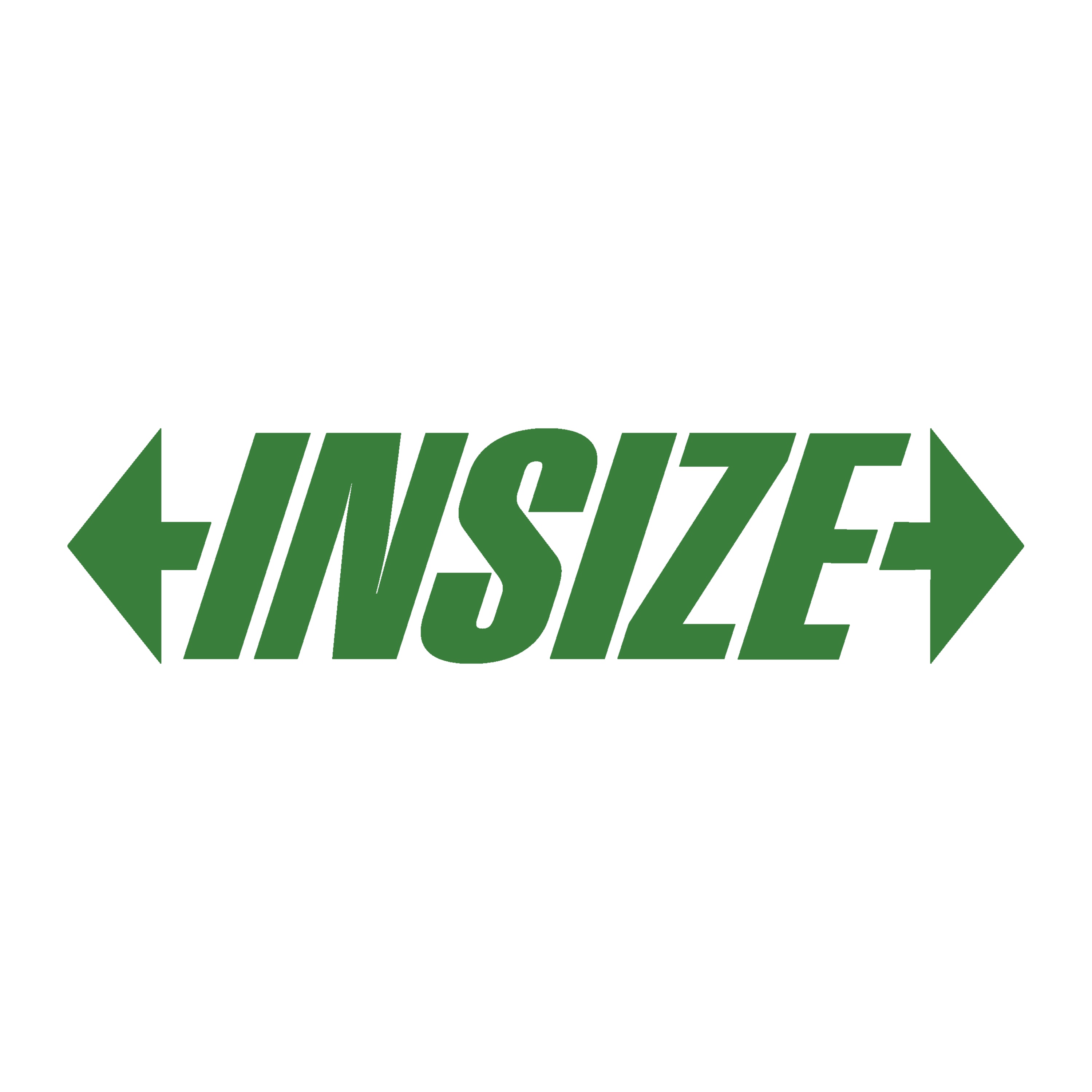INSIZE